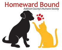 Homeward Bound: Addison County’s Humane Society